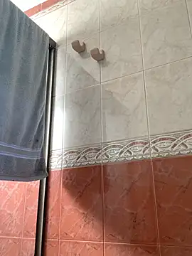 La-Gatiita-trans webcam