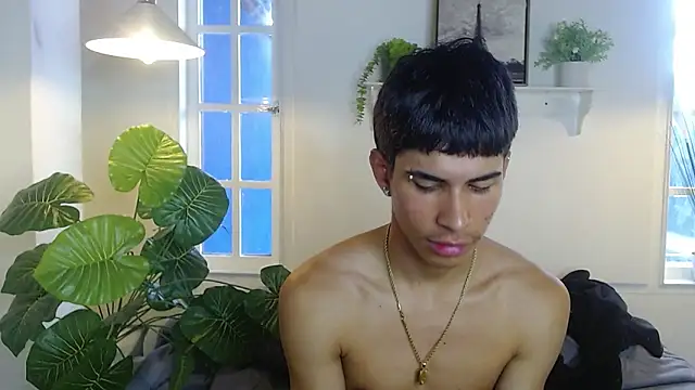 Jesve webcam