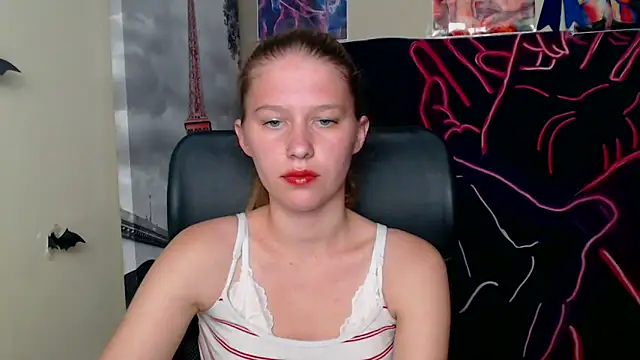 StellaCRL webcam