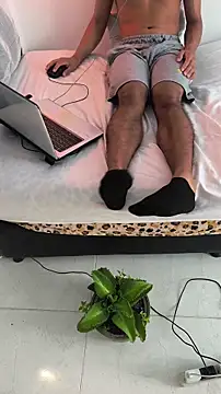 Portandome webcam