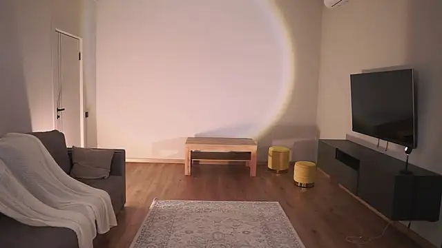 AdaBell webcam