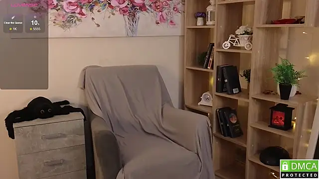 Sue_Sanders webcam