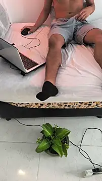 Portandome webcam