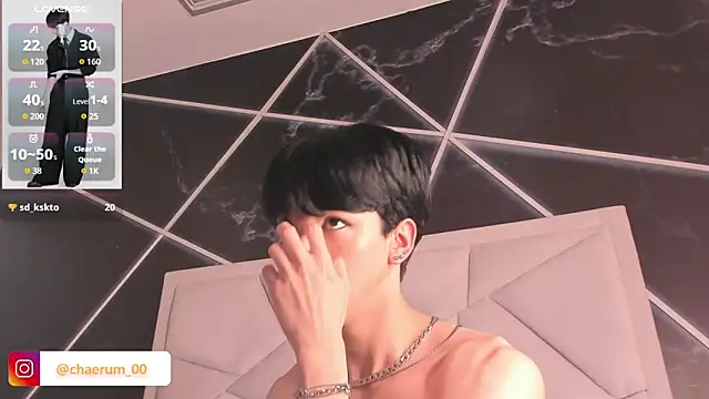 AerumChae webcam