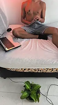 Portandome webcam