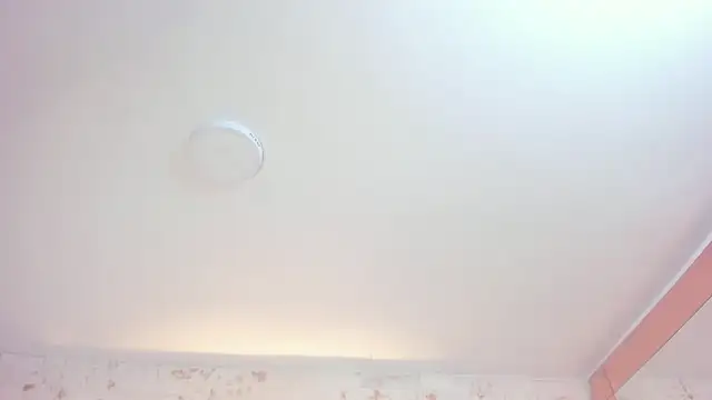 sophiie_lane webcam
