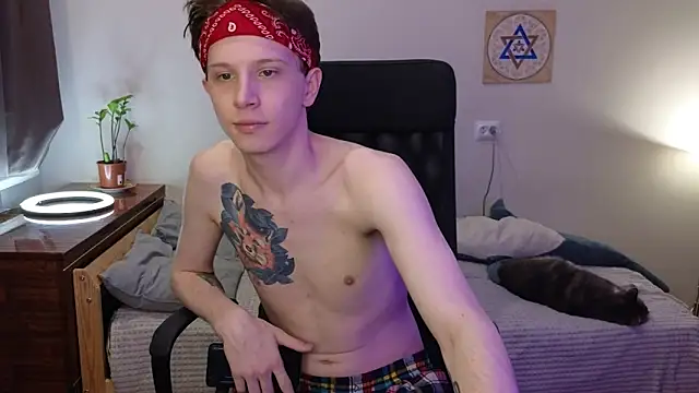 arlekincrop webcam