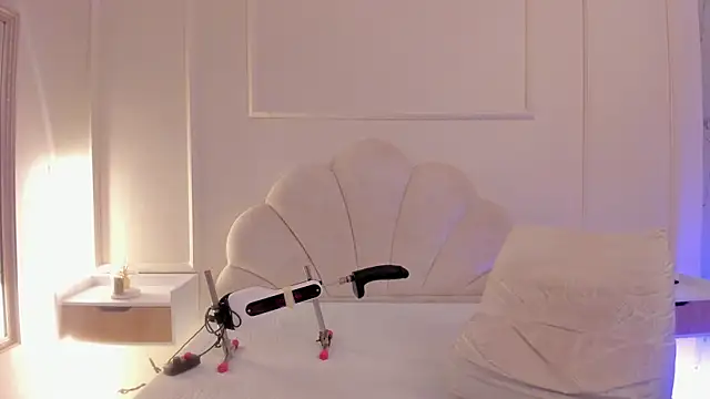 Amykord webcam