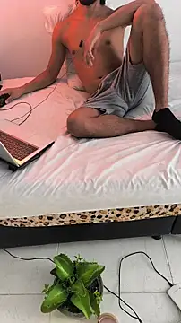 Portandome webcam