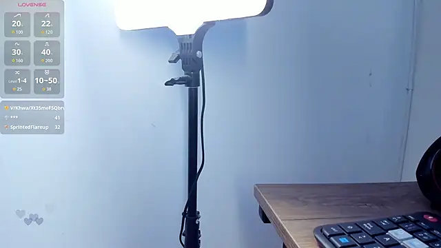 LittleParker webcam