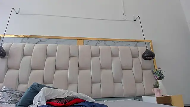 Hanna_lens webcam