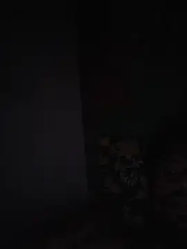 Hilkanna_ webcam