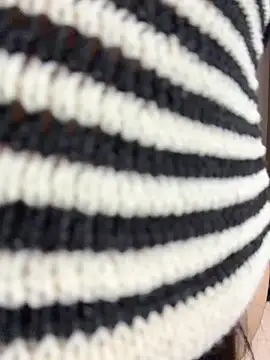 nide-laoshi webcam