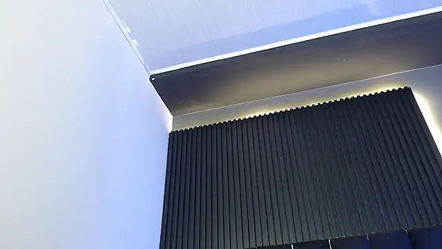 Logan_Steel webcam
