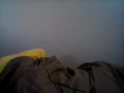 Galegomg webcam