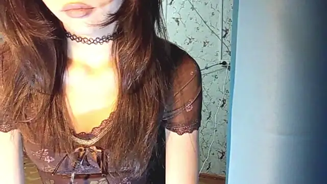 DelicaBrome webcam