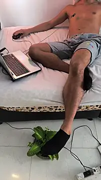 Portandome webcam