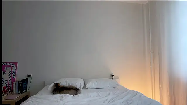 Milky___Way webcam