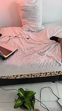 Portandome webcam