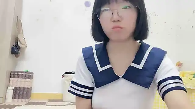 Belle-LL webcam