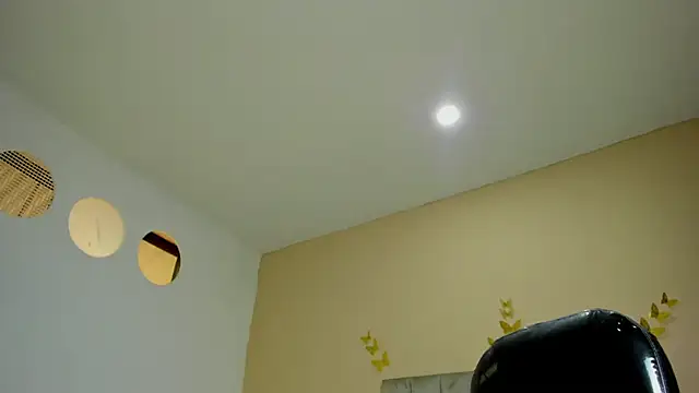 Nascary_Fox webcam