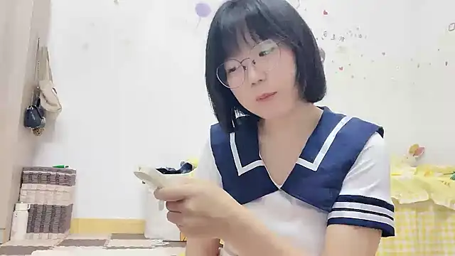Belle-LL webcam