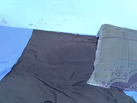 drowllie webcam