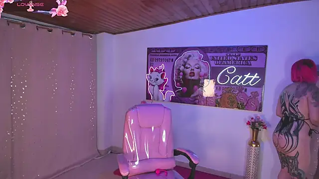 catt_monroe webcam