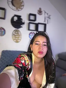 startwerk webcam