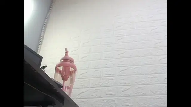 nei_girl webcam