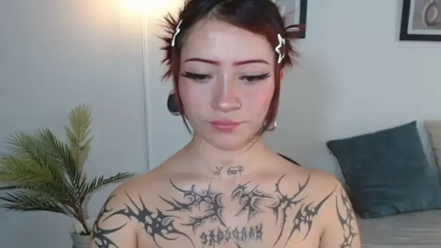 Evanss_lx webcam
