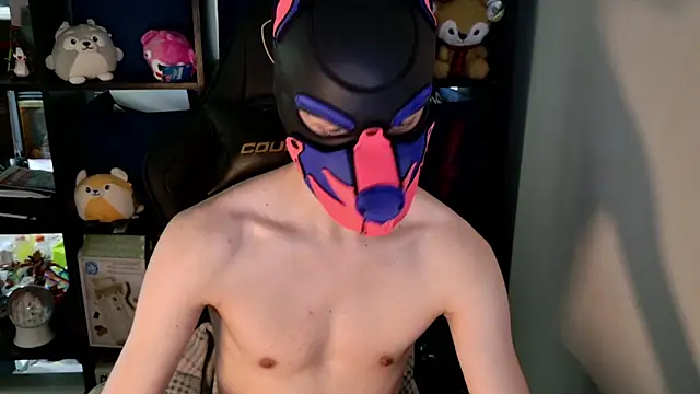MellPUP webcam