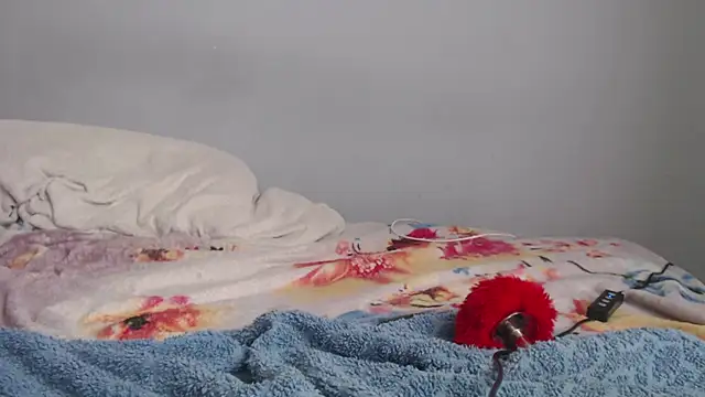 mistzi webcam