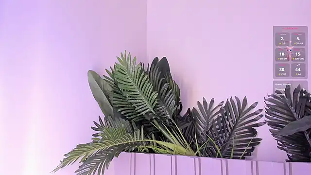stephanymonroe webcam