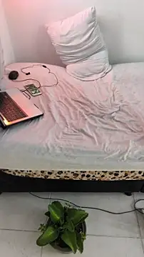 Portandome webcam
