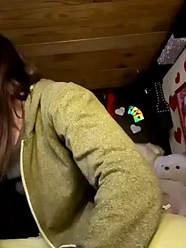 PayForMuse webcam