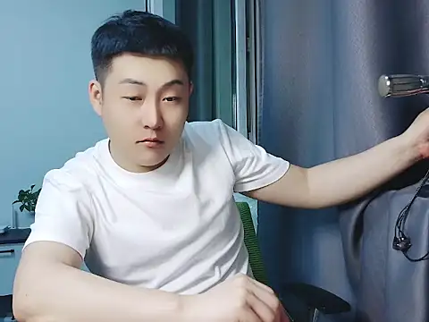 Llpl322 webcam