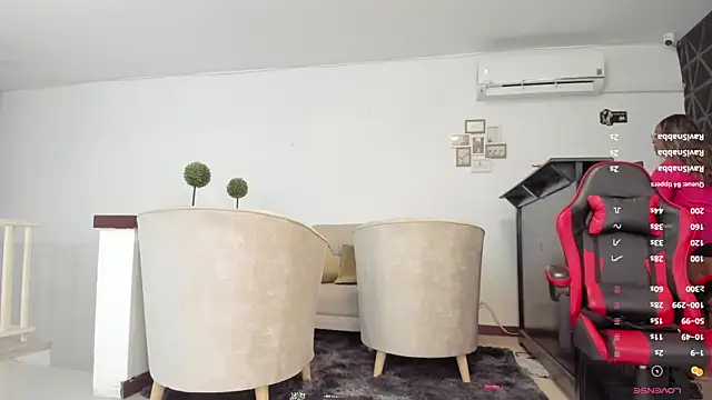 AmbarthSmiith2 webcam
