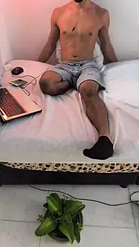Portandome webcam