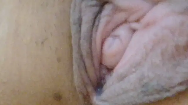sonyx webcam