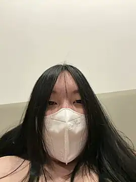 MEOW_MEO webcam