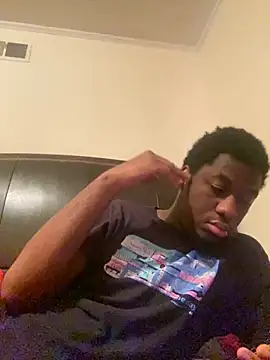 ThickDic28 webcam