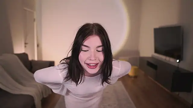 AdaBell webcam