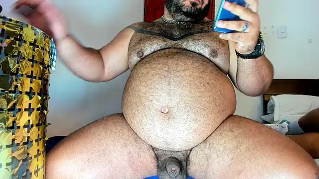 Bearspigdirty webcam