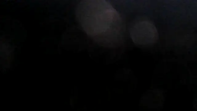 anechka1 webcam