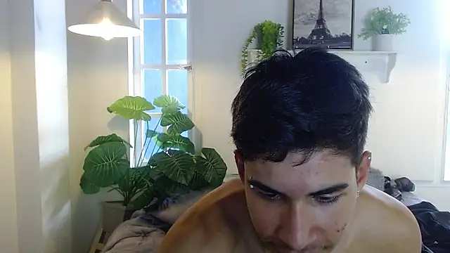 Jesve webcam