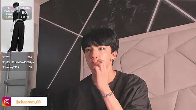 AerumChae webcam