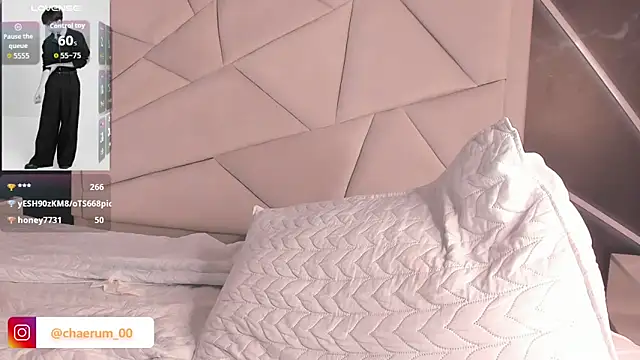 AerumChae webcam