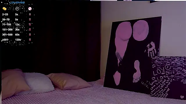 mary_lunar webcam