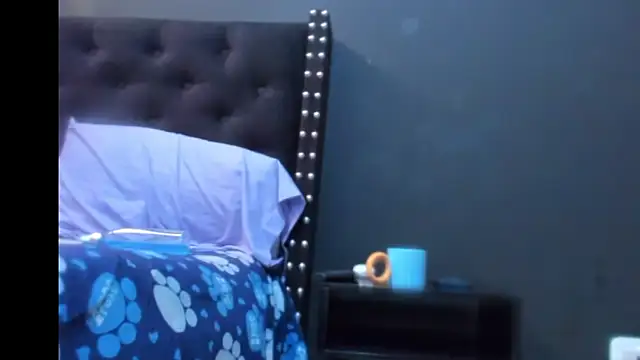 amareto_queen webcam